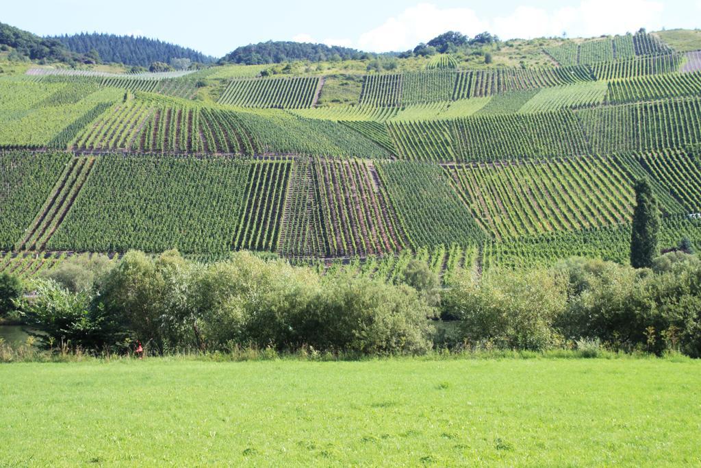 B&B Zum Treppchen Lösnich Exterior foto